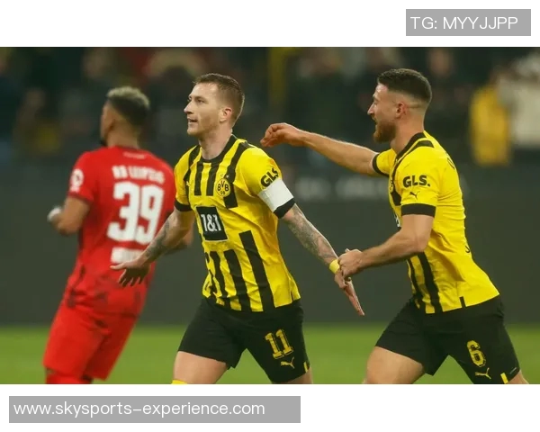 足总杯经典对决：多特蒙德顽强逼平拜仁引发全场热议