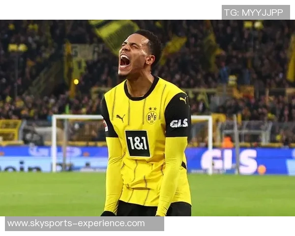 意甲焦点战：拜仁绝杀多特蒙德引发转会热议与全场欢呼